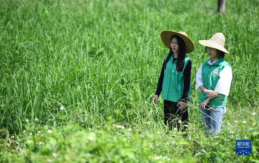 捕鱼游戏赚钱原理